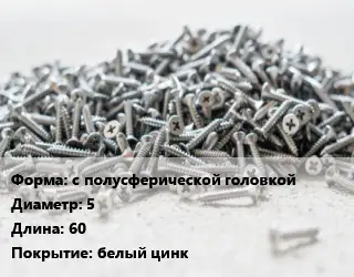 Шуруп с полусферической головкой 5х60 белый цинк